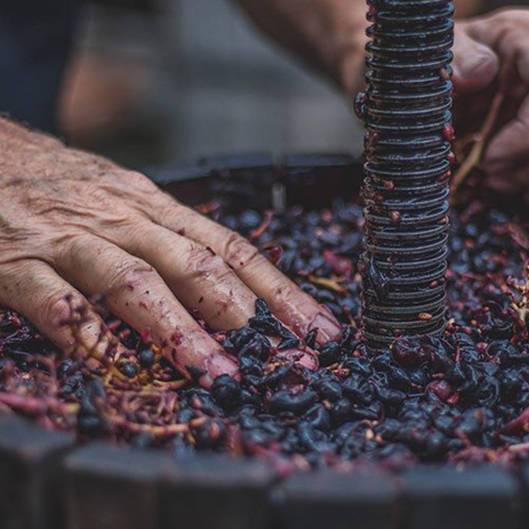marnong estate wines winemaking
