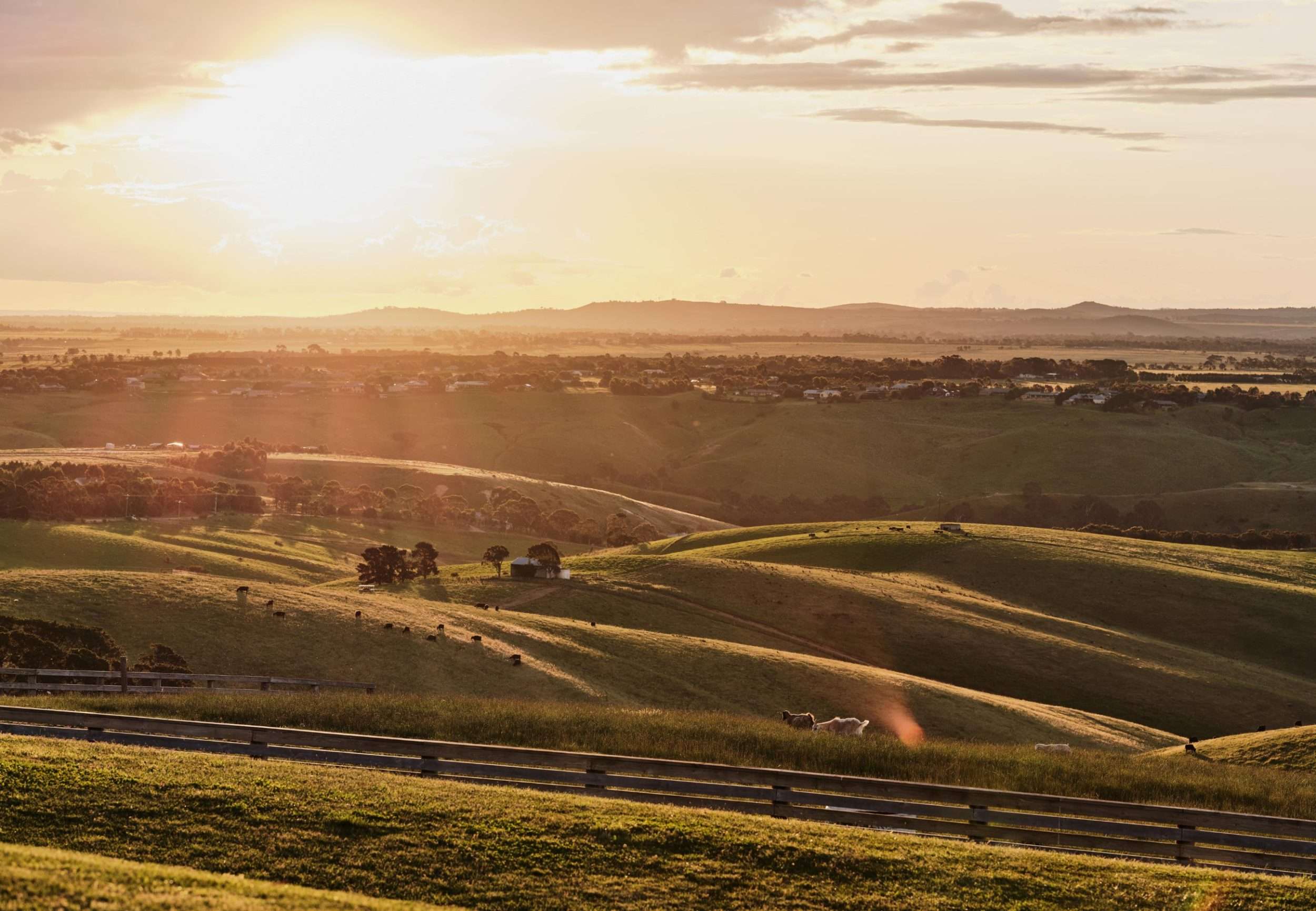 Marnong Estate Winery 3 golden hour main lawn view over macedon ranges