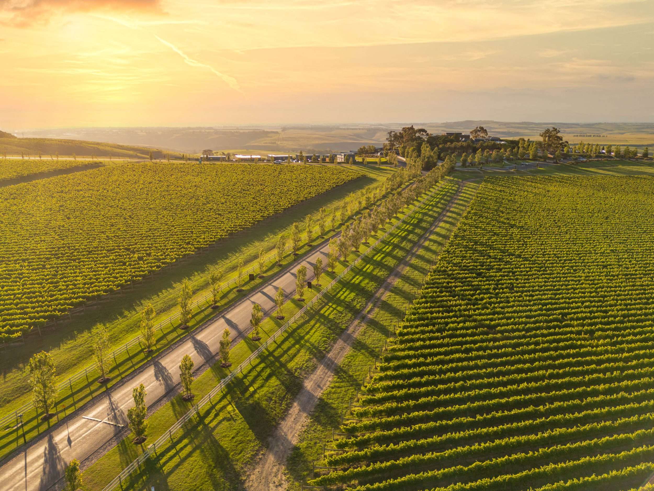 Marnong Estate Vineyard and Cellar Door 1