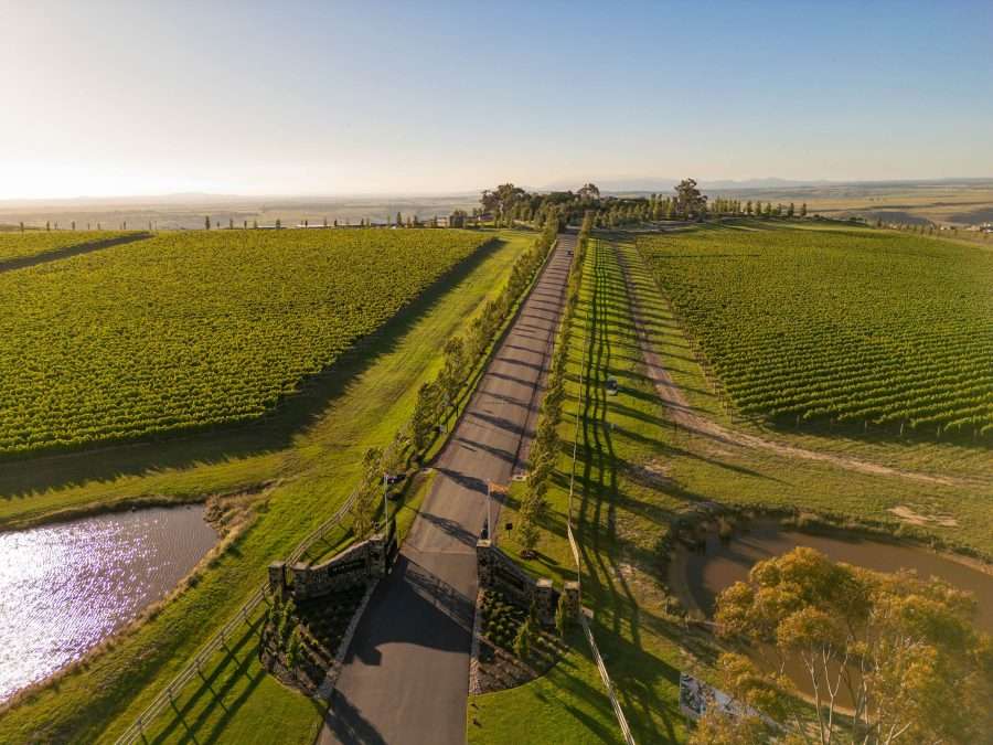 Marnong Estate vineyard and Cellar Door