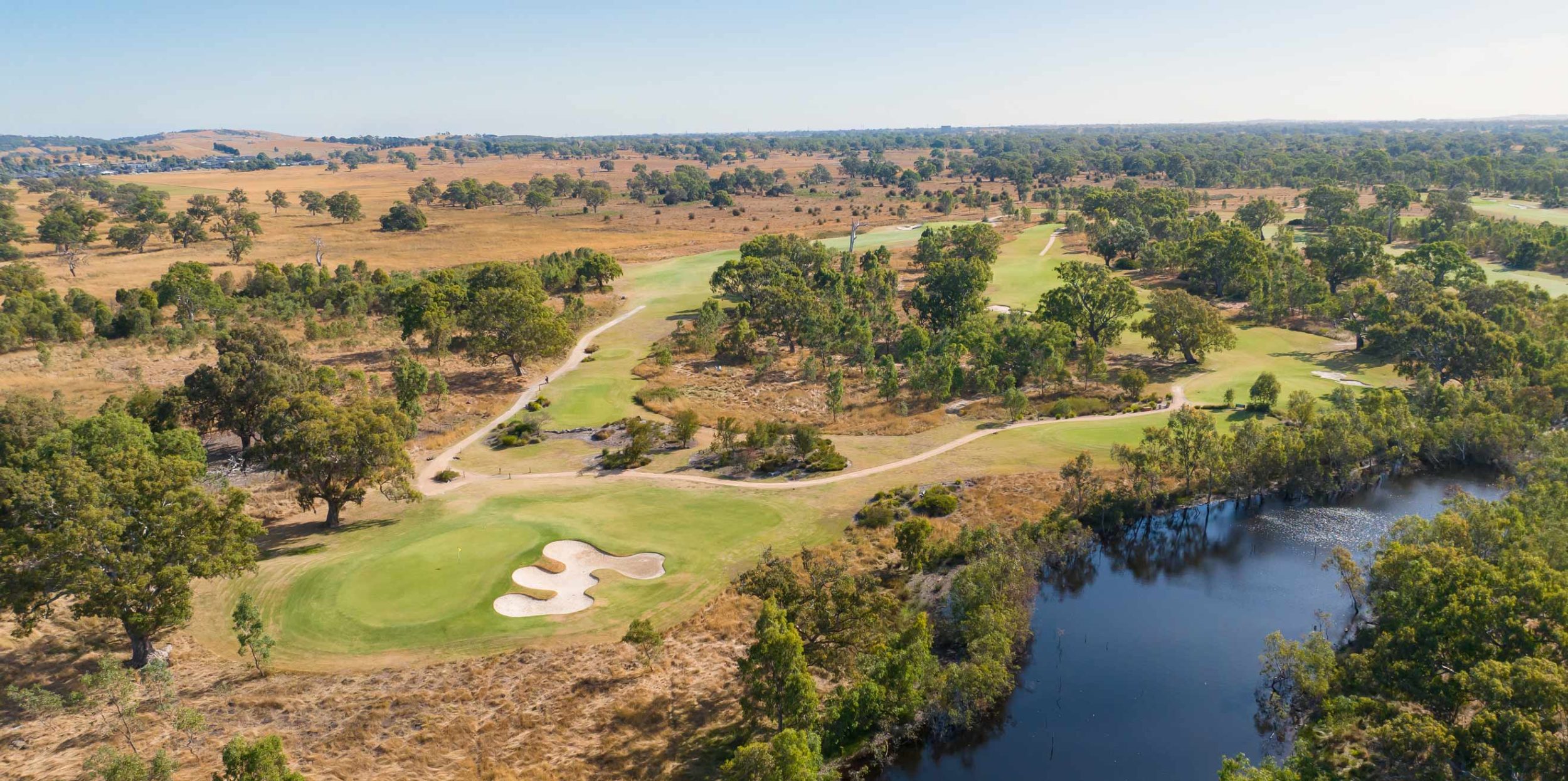 Growling-Friog-0697--optimised