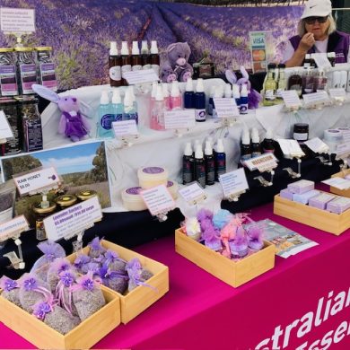 Australian Lavender Essentials