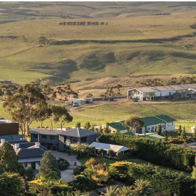 Corporate event planners touring outdoor venue space at Marnong Estate with vineyard views in the background