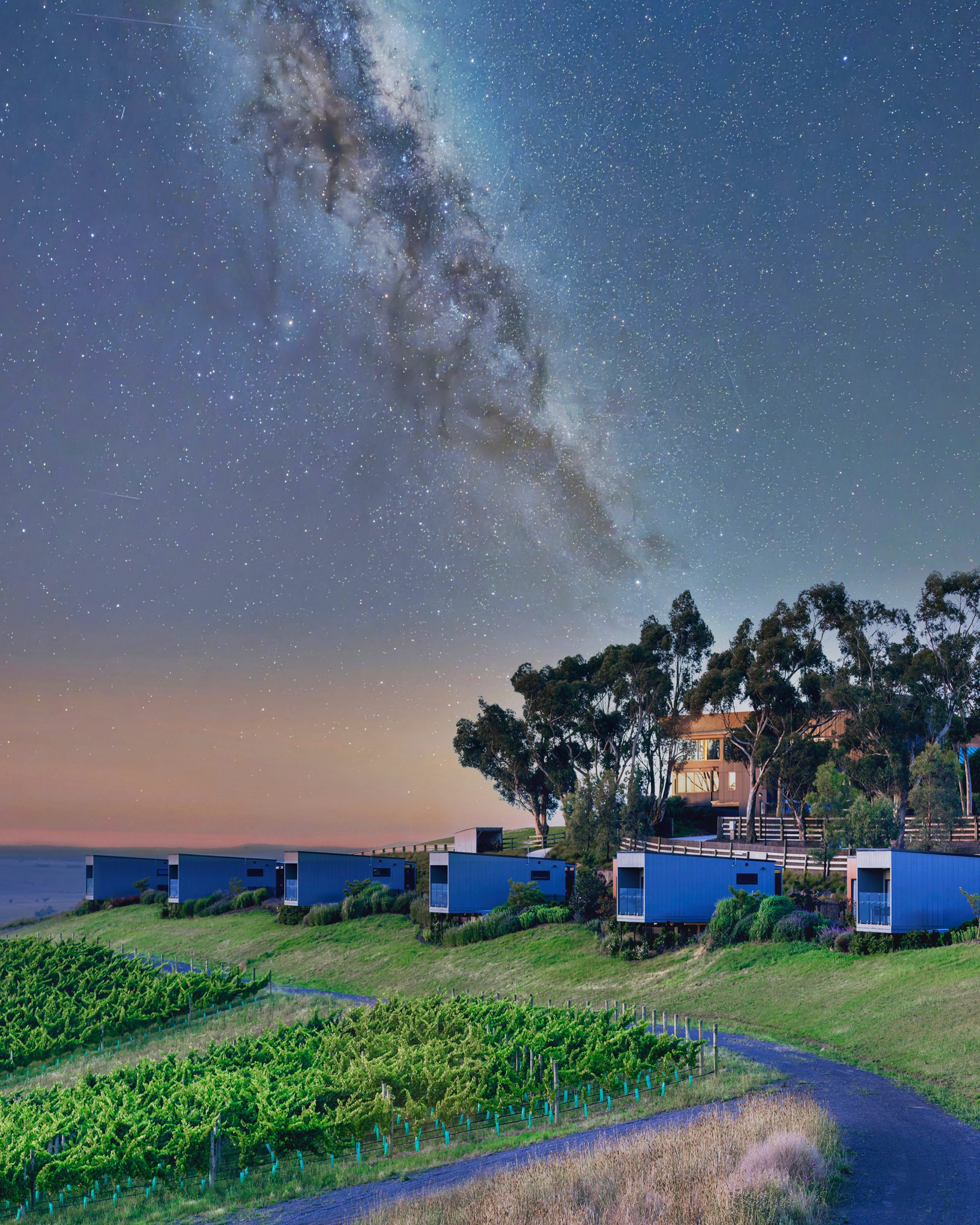 Milky Way over the vineyard
