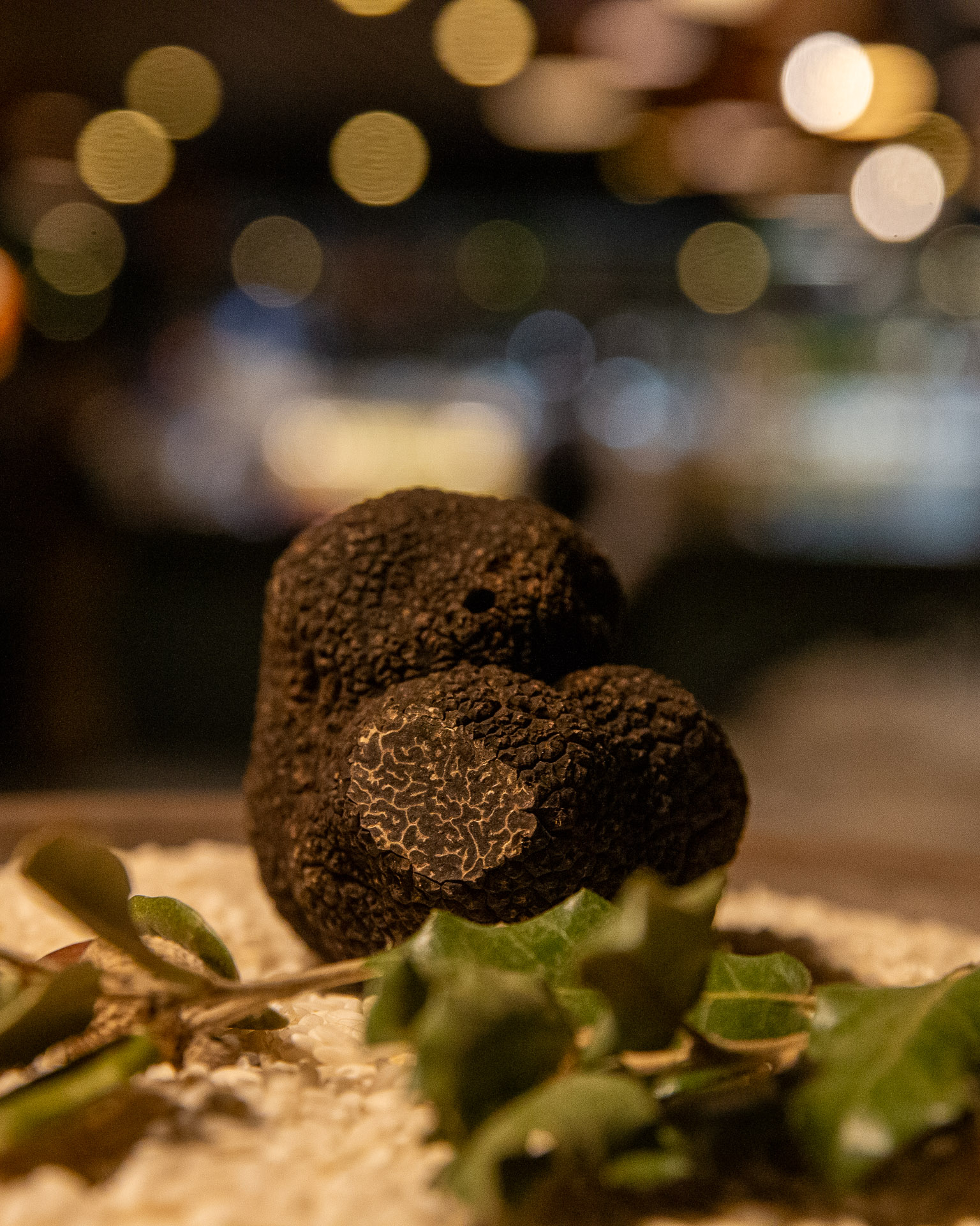 close up of a truffle