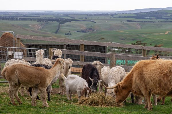 Marnong_20251006__10K1276 Marnong_20251006__10K1276