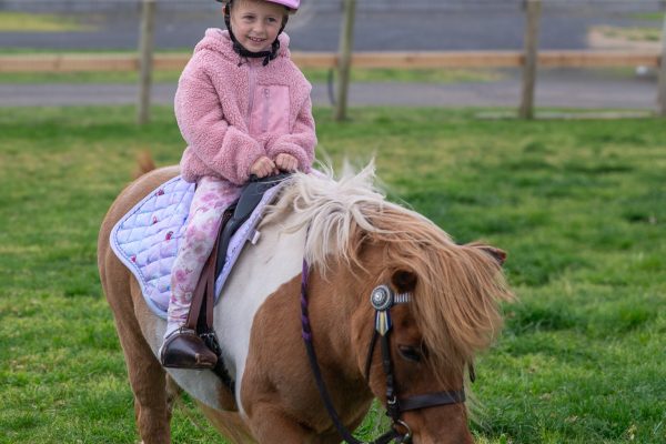 Marnong_20251006__10K1298-Edit A little girl on a pony at Petting Zoo