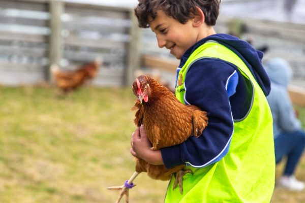 Marnong_20251006__10K1300 Marnong_20251006__10K1300