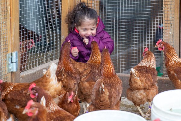 Marnong_20251006__10K1304 Marnong_20251006__10K1304