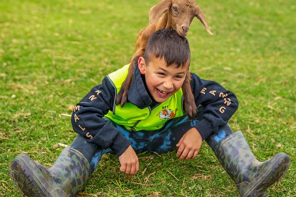 Marnong_20251006__10K1349-Edit A boy on the lawn with a tiny goat