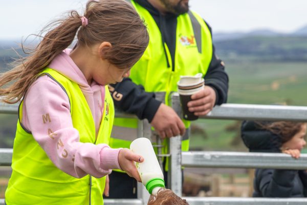 Marnong_20251006__10K1378 Marnong_20251006__10K1378